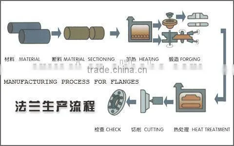 High Quality ANSI ,DIN Standard Forged Blind Flange Made in China