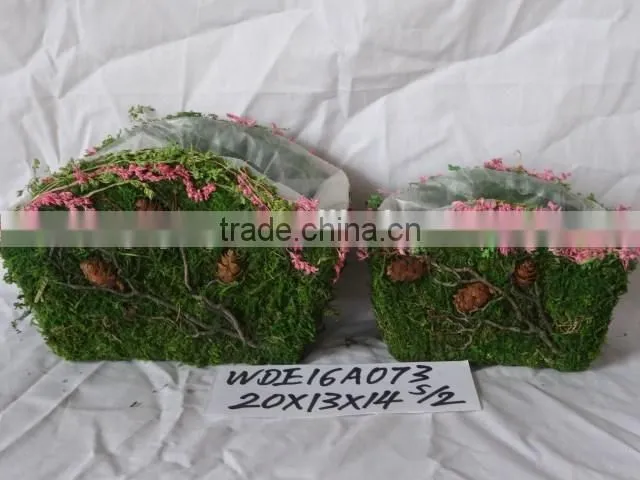 Decorative Moss and Sisal flower pot for home and garden