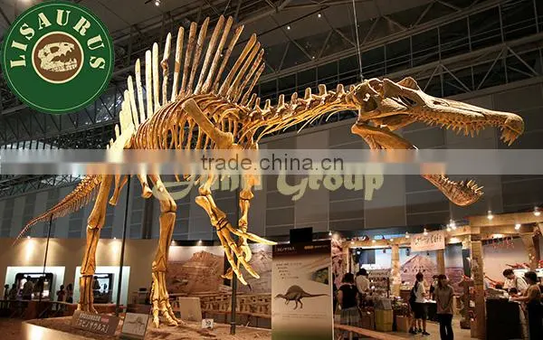 Lisaurus-I dinosaur skull head dinosaur skull puzzle for dino park theme park dinosaur skeleton puzzles