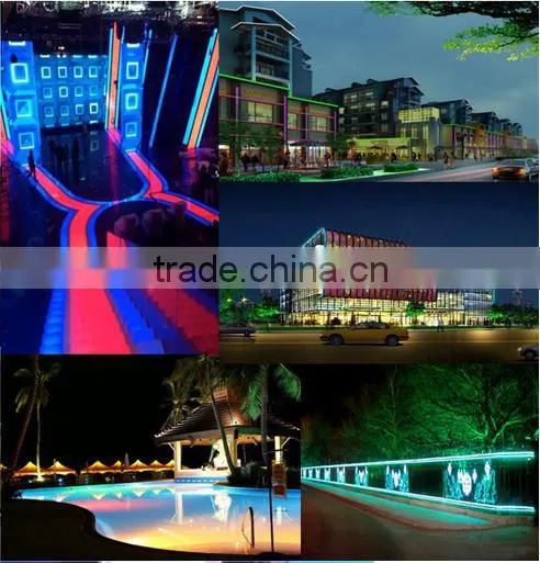 New design 12V 5050 SMD WW 60 LED/M two color led strip light
