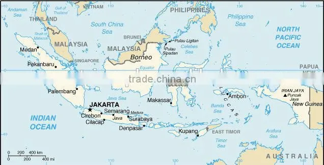 DDP/DDU Shipping Sea Freight from China to Indonesia