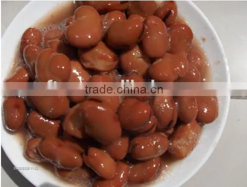 Supply canned vegetables, Canned broad beans in tomato sauce for sale