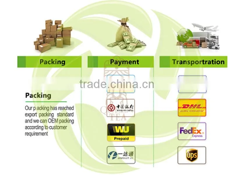 Premium Chinese henan province sharp green tea xinyang souchong maofeng tea xinyangmaojian green tea