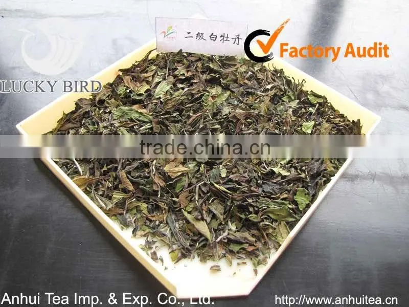 Special healthy Tea White Peony