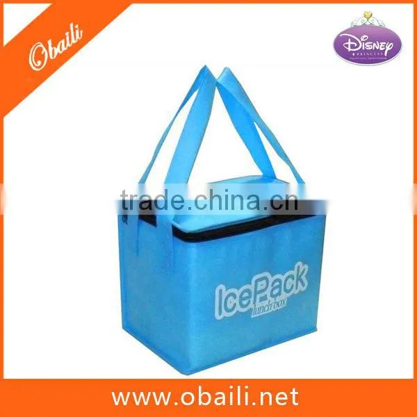 food delvery cooler bag