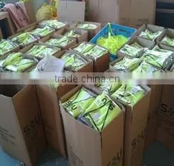 100% polyester high visibility 3M Scotchlite Reflective Material 3M reflective safety jacket