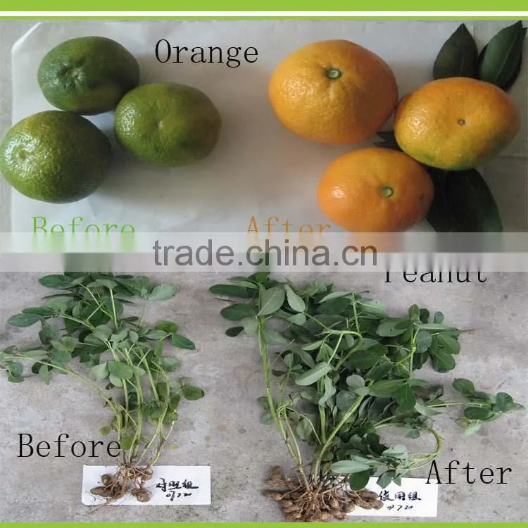 Silicate Bacterium bio potassium releasing bacteria powder organic fertilizer