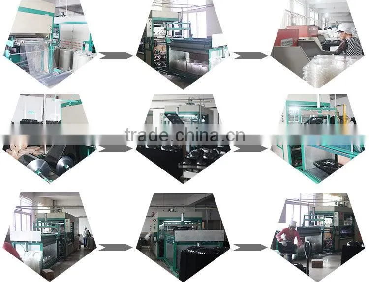 customized Transparent food clear plastic clamshell packaging