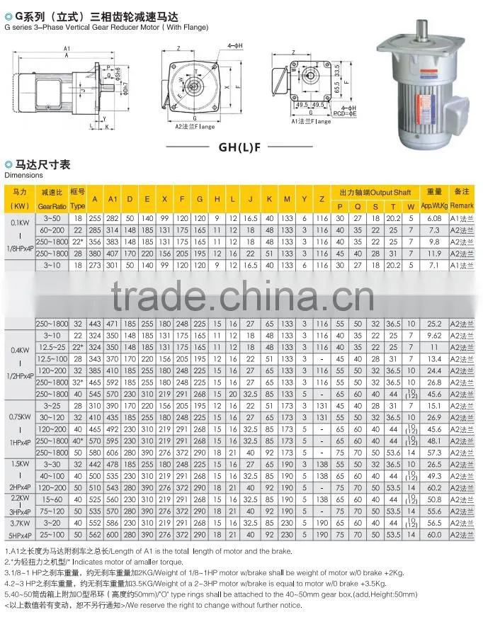 Induction AC Gear Motor with Gear Reducer
