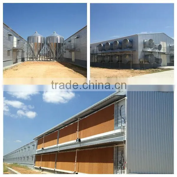 poultry farming equipment for broiler chicken house