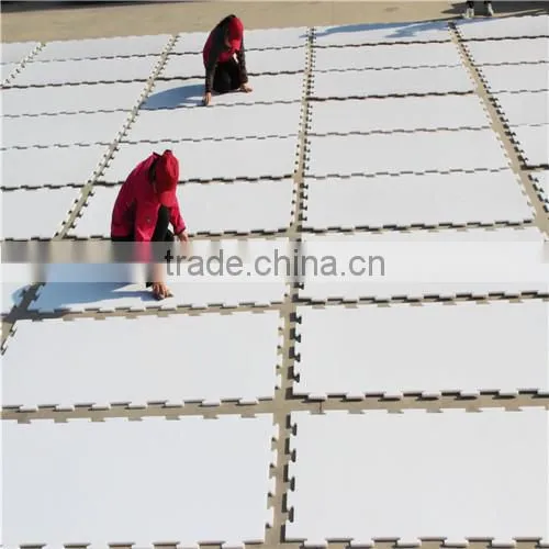 easy installation ice rink / uhmwpe ice skating with great quality/ sliding uhmwpe panel
