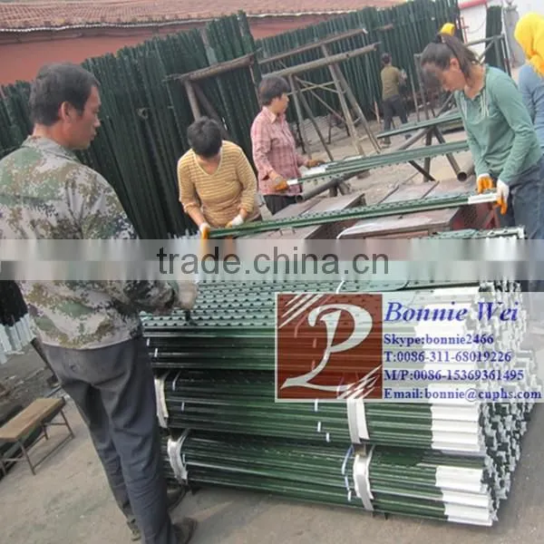 Green paint spade T post