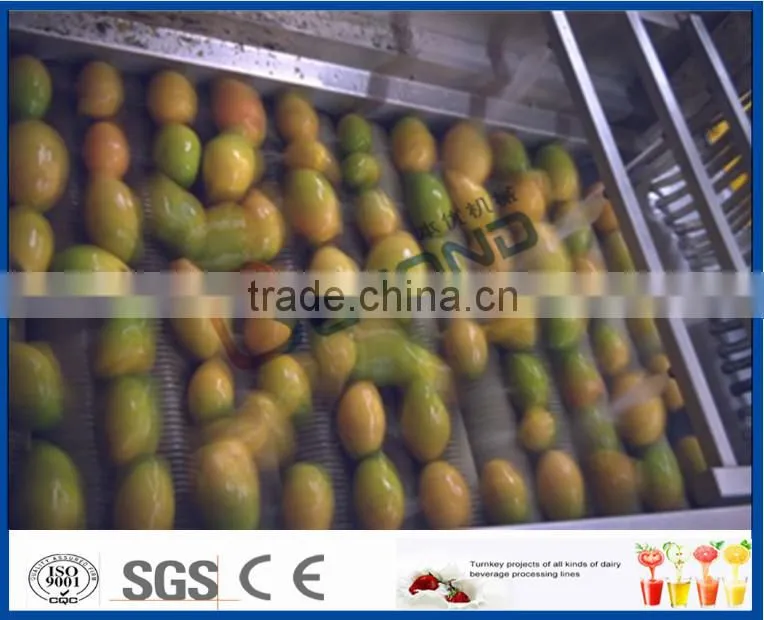ecomomic method mango processing equipment