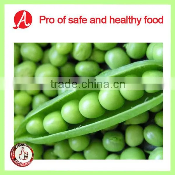 High Quality IQF Green Peas on Hot Sale