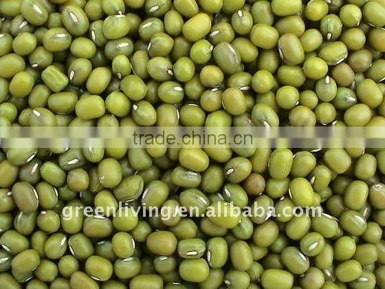 sell chinese dried green mung bean(2011 new crop)
