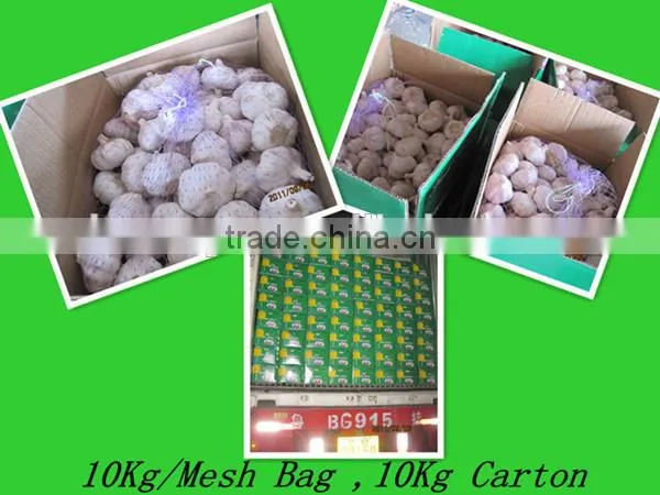 chinese garlic