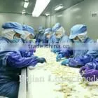 2016 Free Samples Freeze Dried Banana Factory Supply Low Price