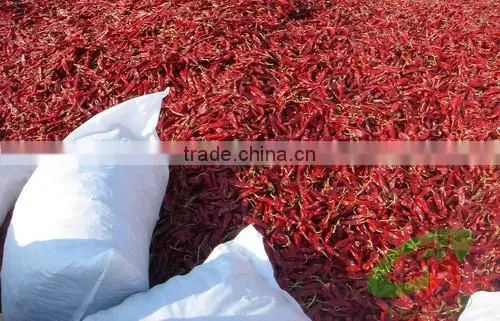 Chinese sweet pepper red paprika powder