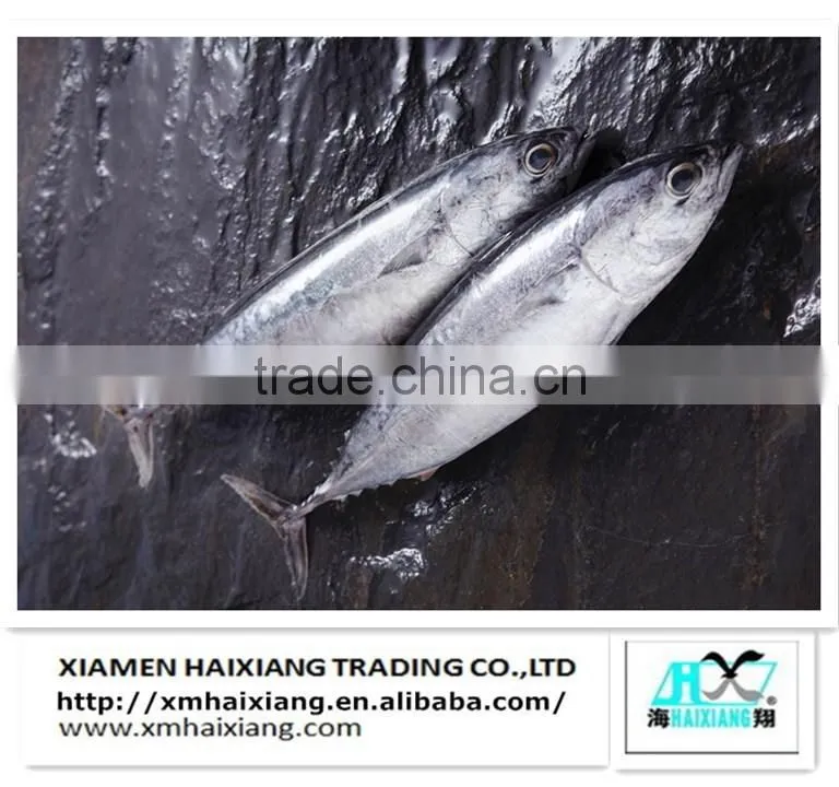 Frozen mackerel prices