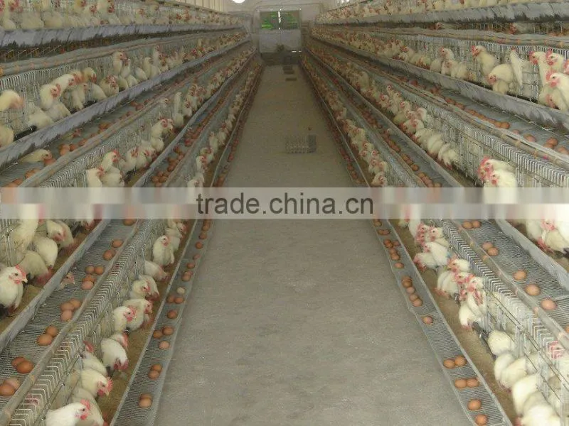 poultry farm layer cage(3 tiers)