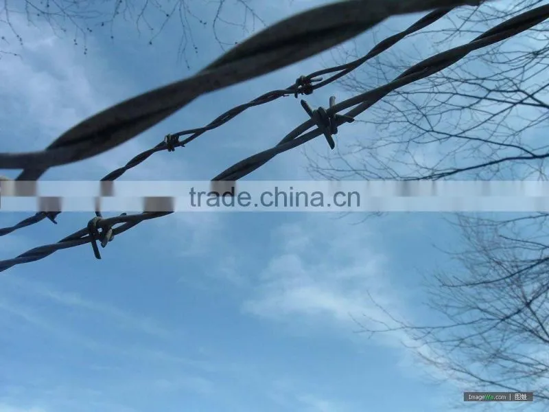 Barbed wire series