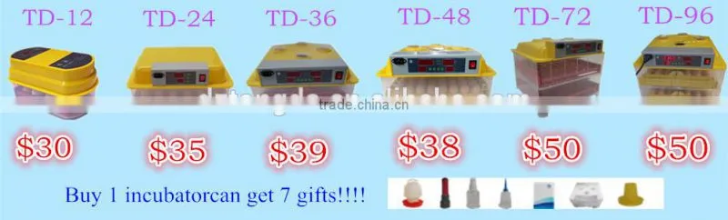 Dezhou tongda mini egg incubator mini poultry egg incubators prices