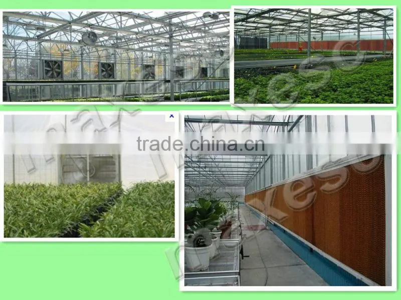 Big Airflow Poultry Farm Ventilation Fans