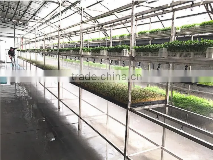Neweek combine heating tube hydroponic wheat corn alfalfa sprouting machine