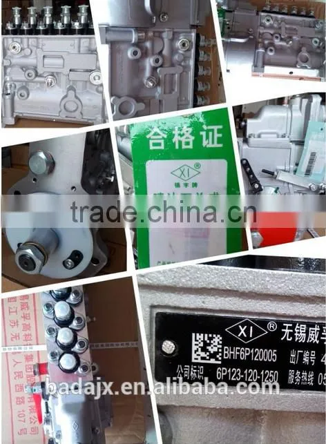 WUXI WEIFU Fuel Injection Pump BHF6P120005 6P123-120-1250