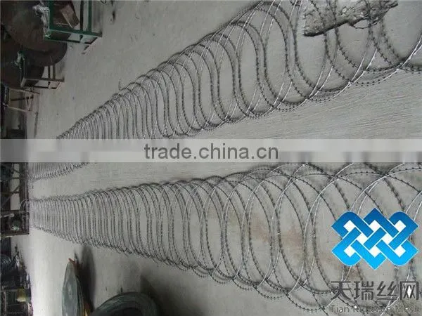 razor barbed wire fence