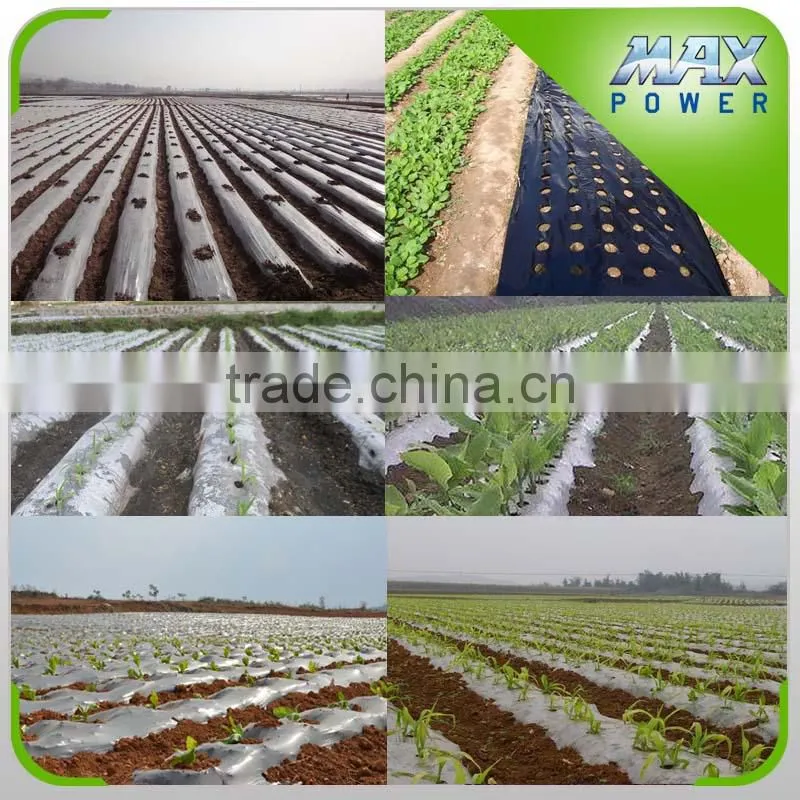 Garden agricultural anti-grass net