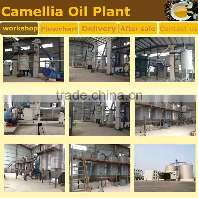 Hot Sale Green Tea Seed Oil Machine Processing Plant CE ISO