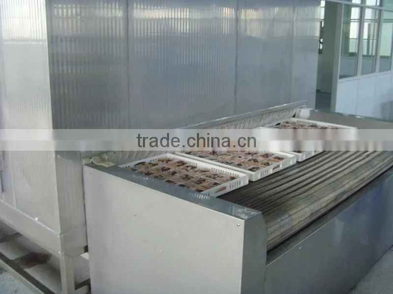 Potato Stcks Cubes Dices Tunnel Freezer