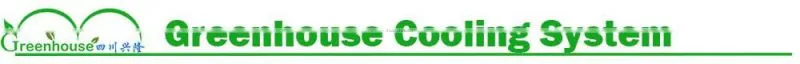 Hot Sale Cheapest Greenhouse Air Conditioner/Greenhouse Cooling System