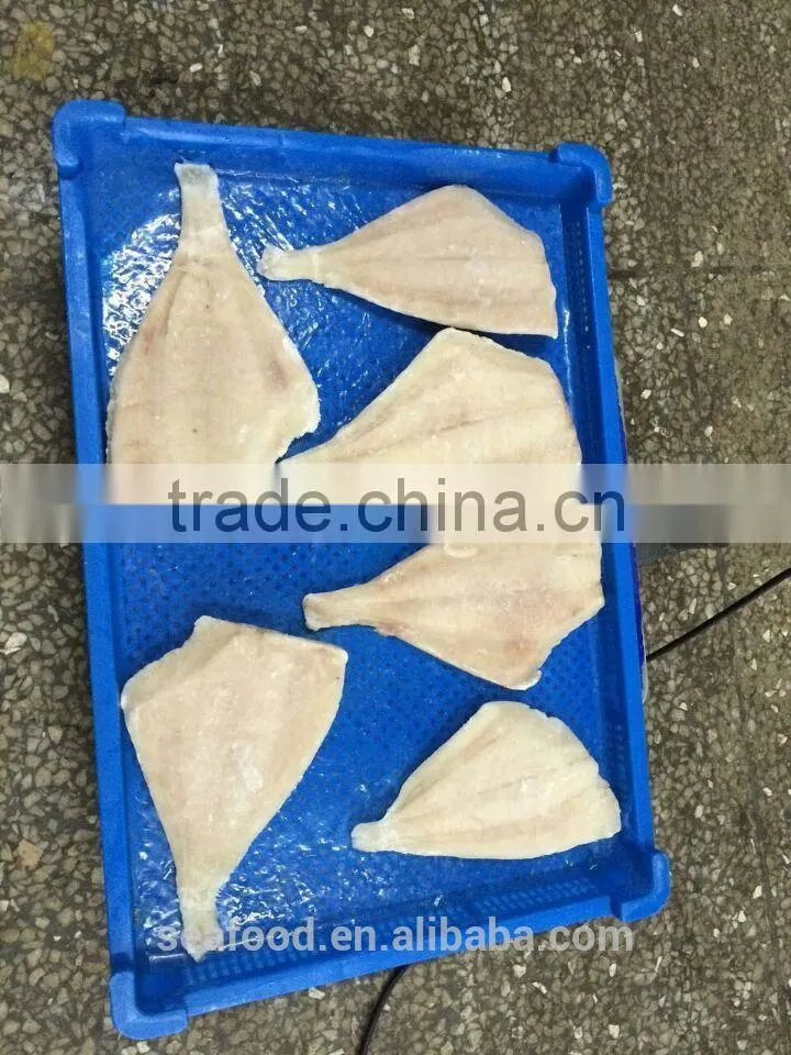 Frozen Seafood BLACK POMFRET OR BRAMA FILLET Frozen Fish