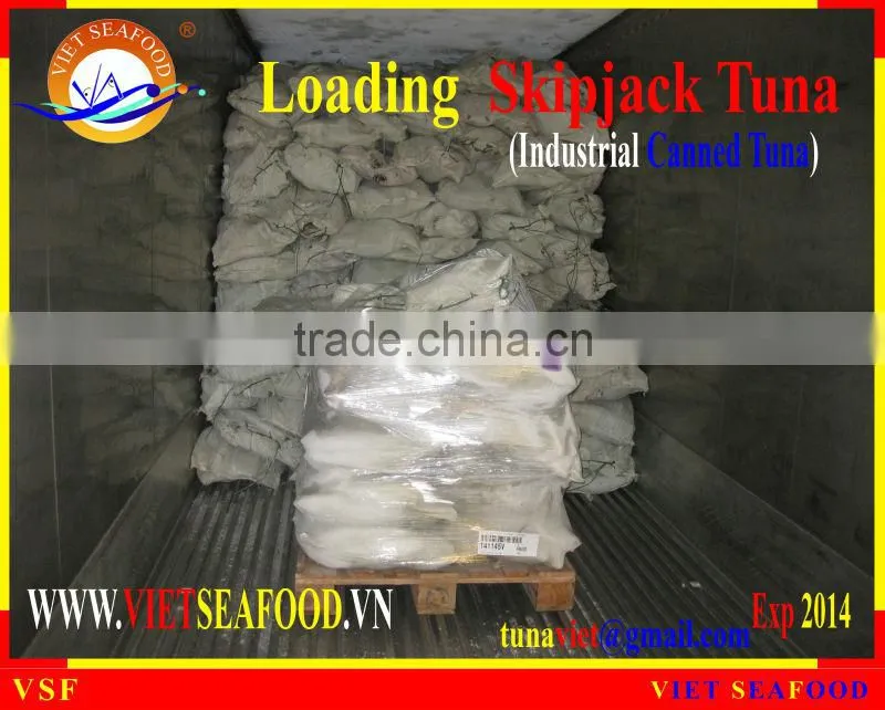 LOADING FROZEN SKIPJACK TUNA W/R