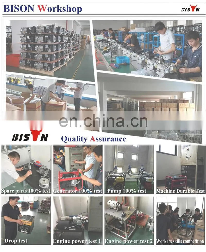 BS160 168F Governing Spring Gasoline Engine Parts
