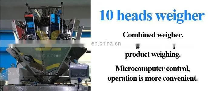 Automatic Bag Making Ice Cubes Packing Machine