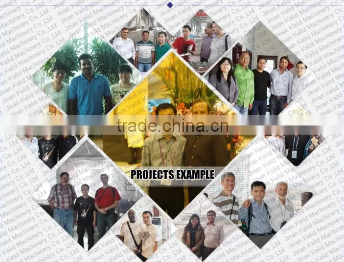 food grade textured soy protein making machine