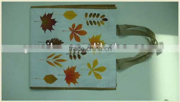 Fashion pp woven bag
