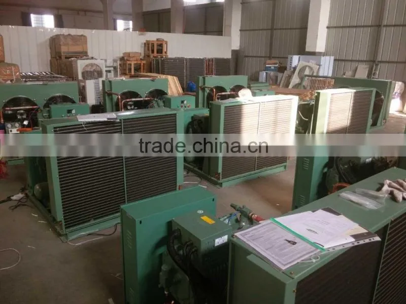 High quality air cooled condensing unit for cold room storage
