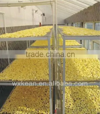 Turnkey project non fried vacuum puffed dried apple slices producing line