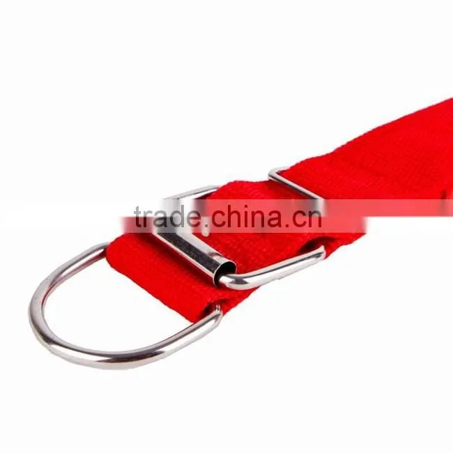 dog shock collar factory