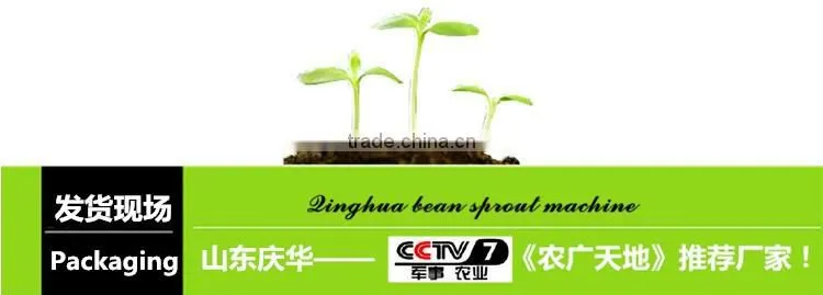 New Brand Bean Sprout Making Machine