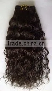 indian remy virgin human hair