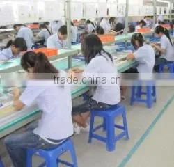 Hunan Lampaous Electronic Co., Ltd. company overview - view 2