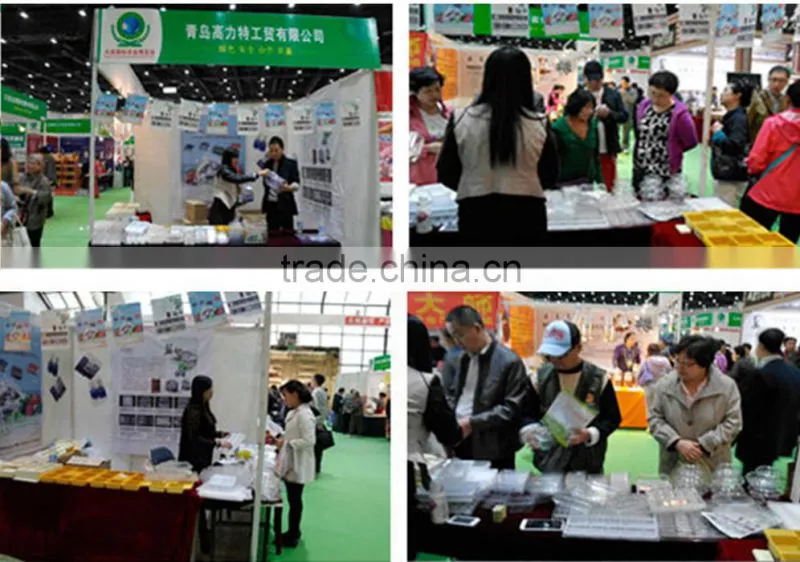 Plastic Fruit packaging container tray disposable plastic blueberry packaging container
