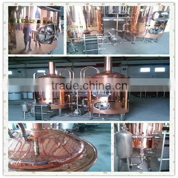 200L home beer brewing equipment