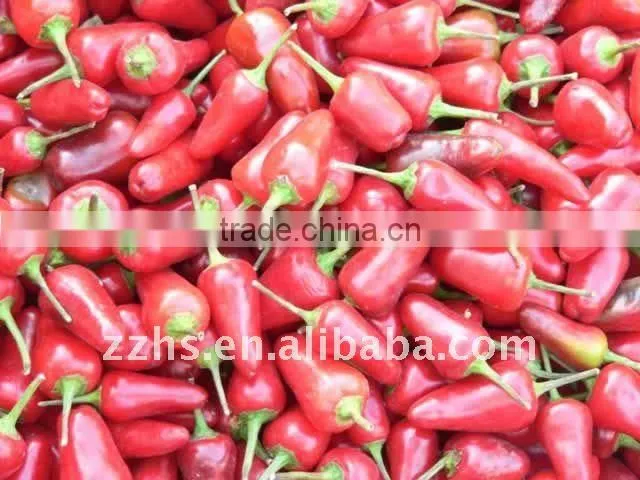 Canned Red Chili half Canned Vegetable Canned Food