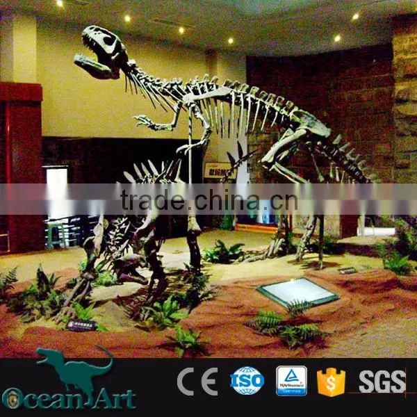 BY-DY-041406 Natural Science and History Museum Dinosaur Skeleton Model